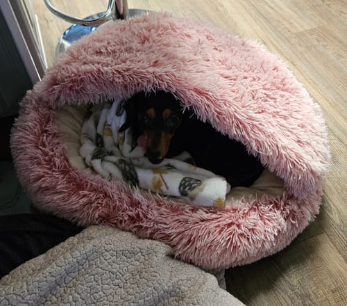 <p><strong>Verkliga resultat i bastur över 100 °C</strong></p>