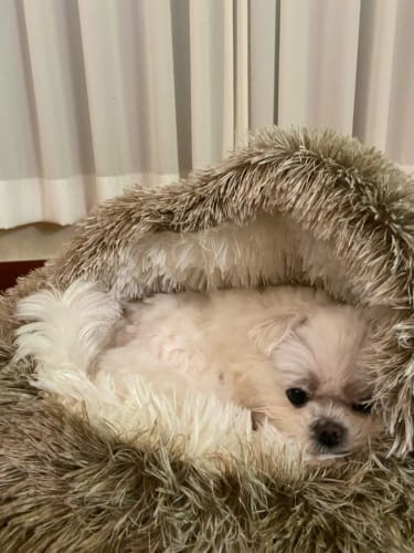 <p><strong>Verkliga resultat i bastur över 100 °C</strong></p>