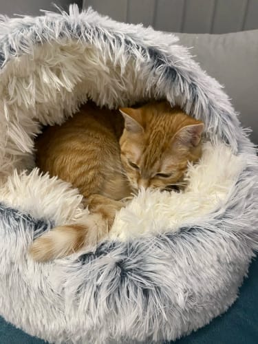 <p><strong>Verkliga resultat i bastur över 100 °C</strong></p>