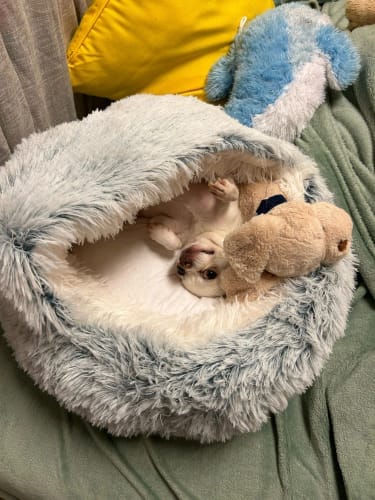 <p><strong>Verkliga resultat i bastur över 100 °C</strong></p>